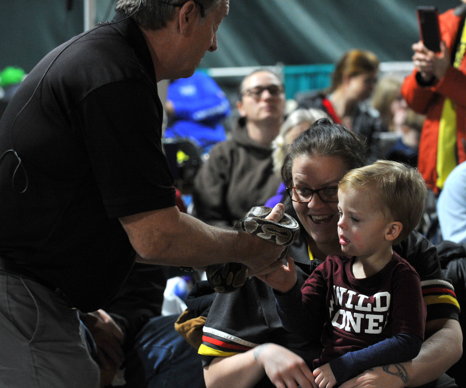 Bald Eagle Days at the QCCA Expo Center
